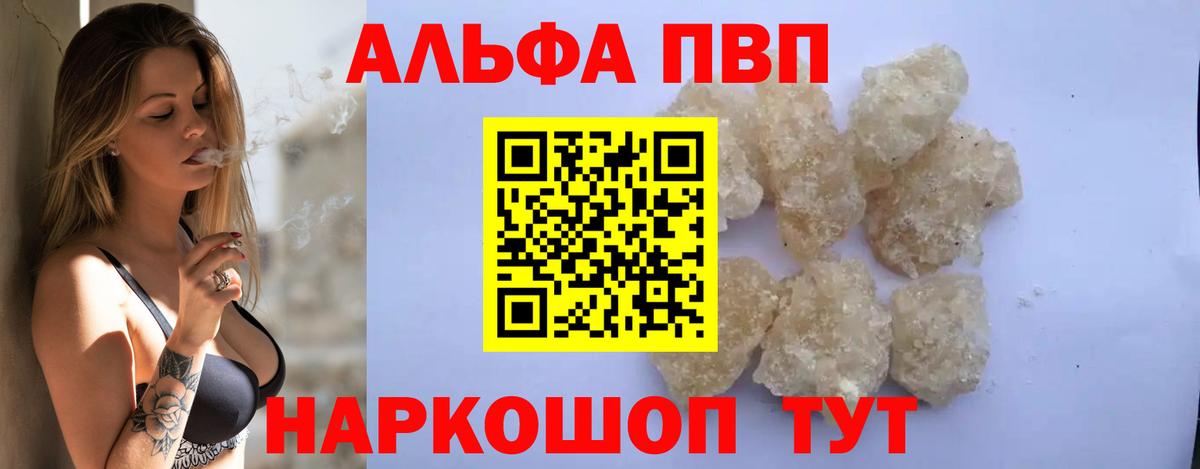 Alfa_PVP СК КРИС Кореновск